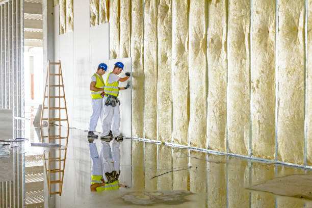 Best Spray Foam Insulation in Fairfield Bay, AR